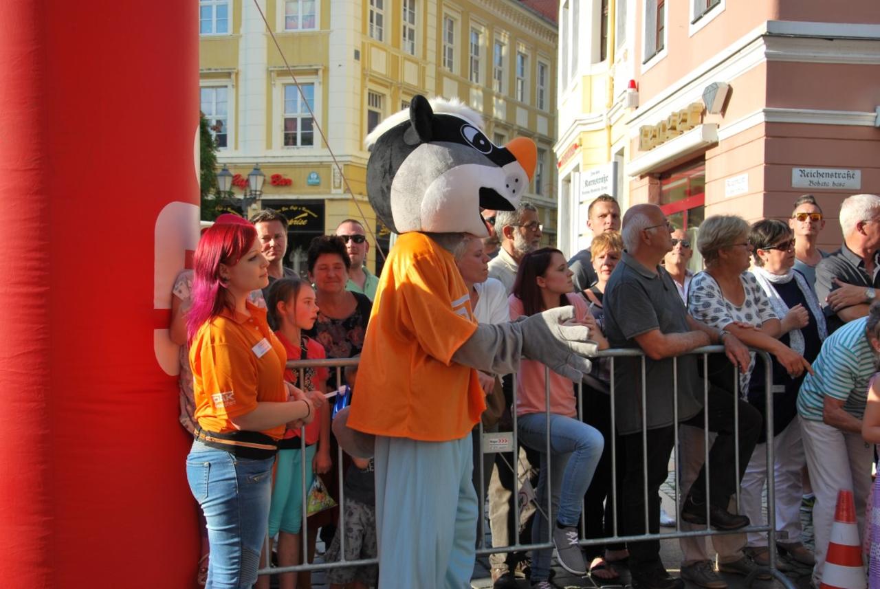 DAK Dachs feuert die Läufer an